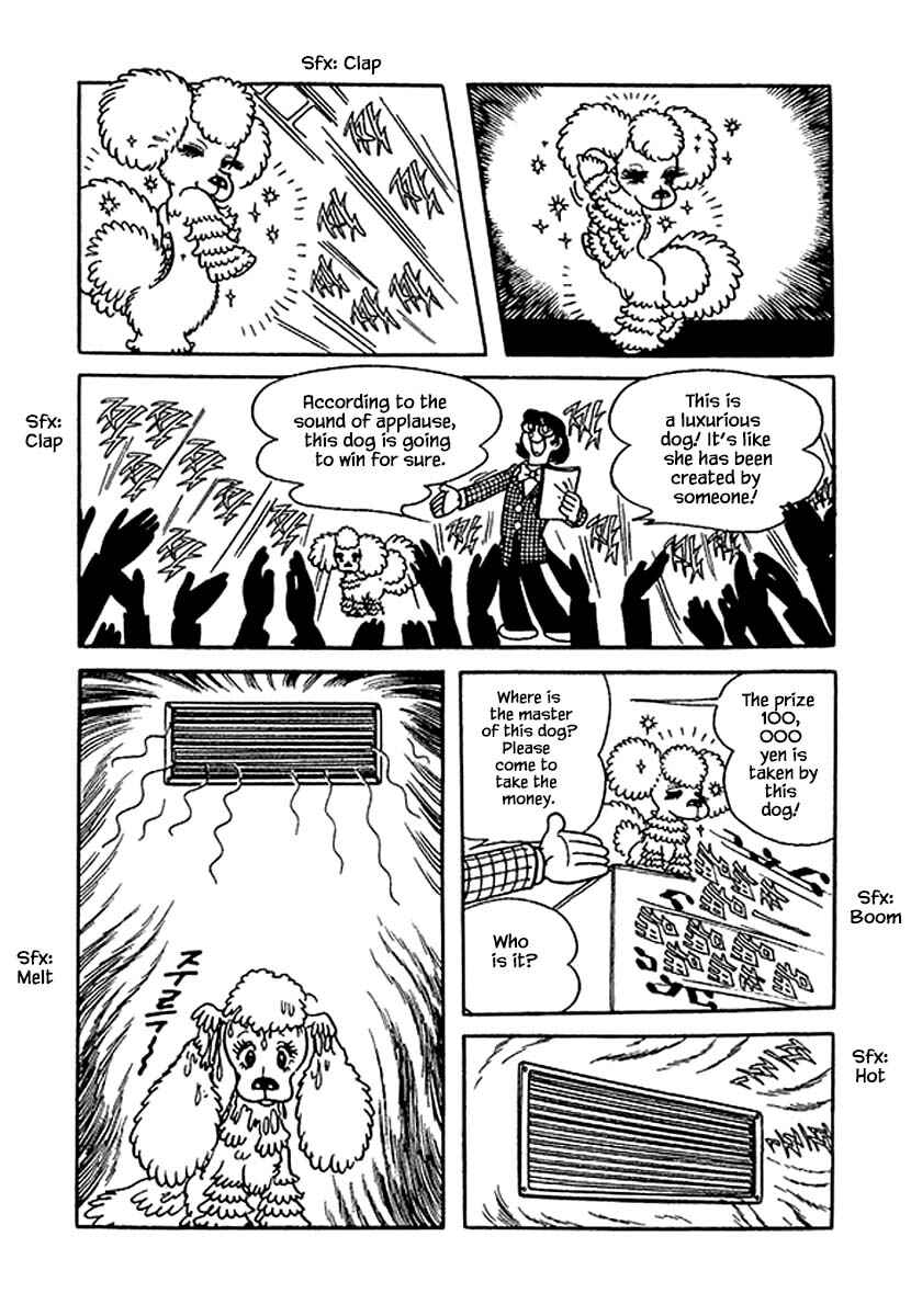 Page 10 Chapter 35 Rainbow Parakeet
