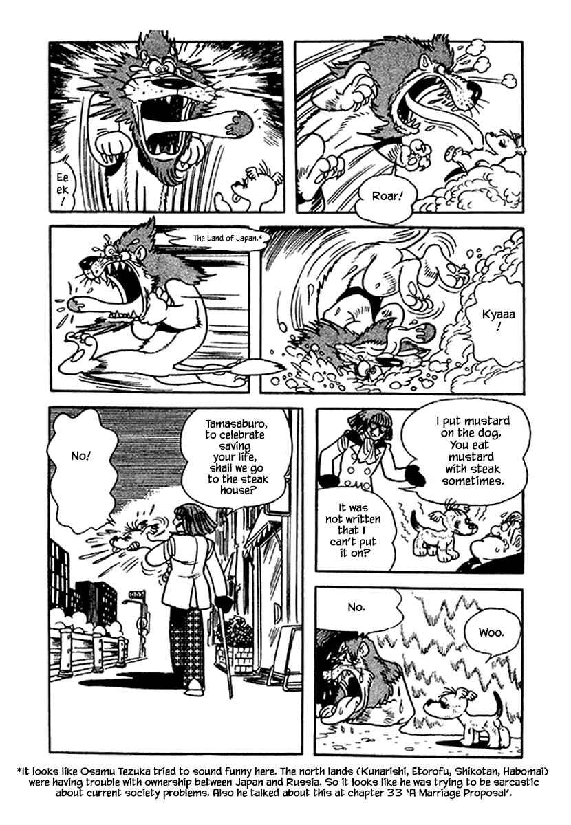 Page 20 Chapter 35 Rainbow Parakeet