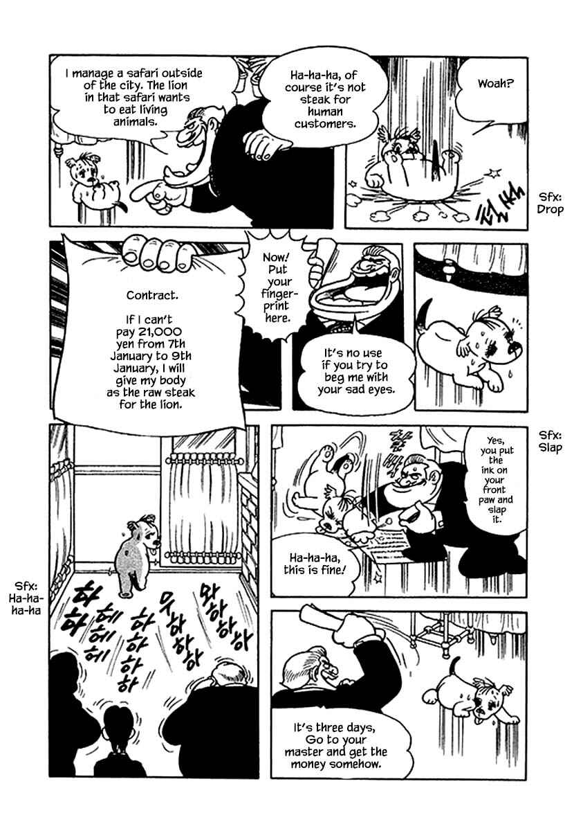 Page 6 Chapter 35 Rainbow Parakeet