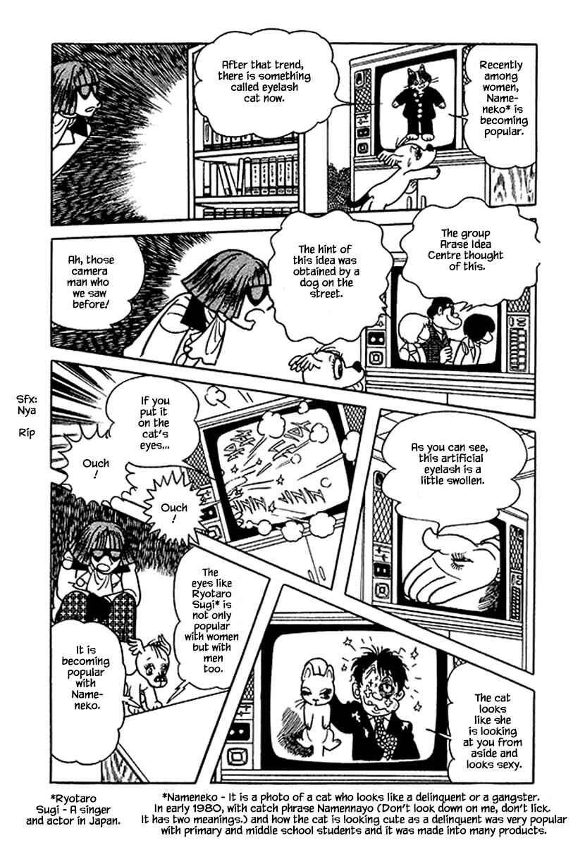 Page 10 Chapter 31 Rainbow Parakeet
