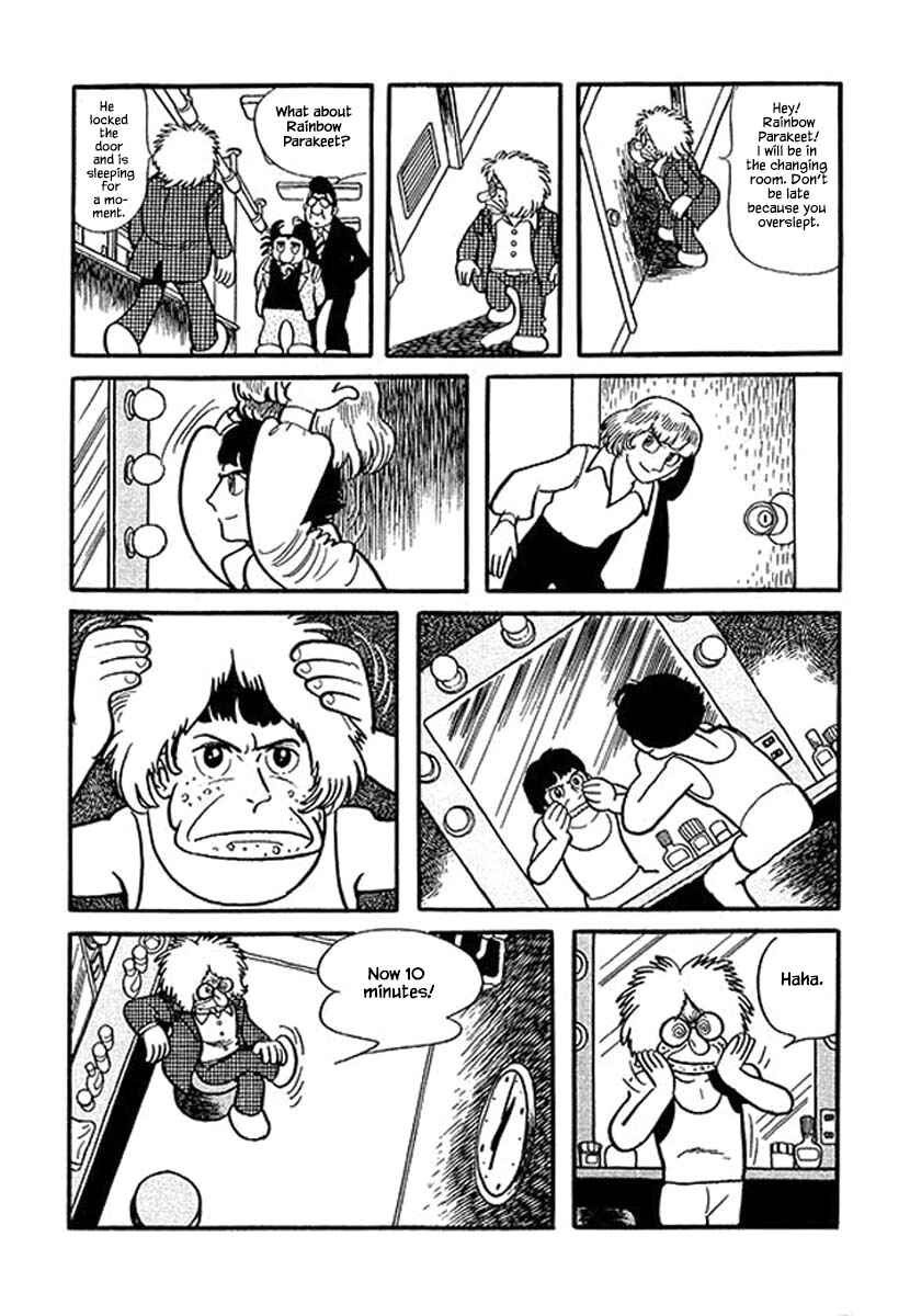 Page 16 Chapter 1.2 Rainbow Parakeet