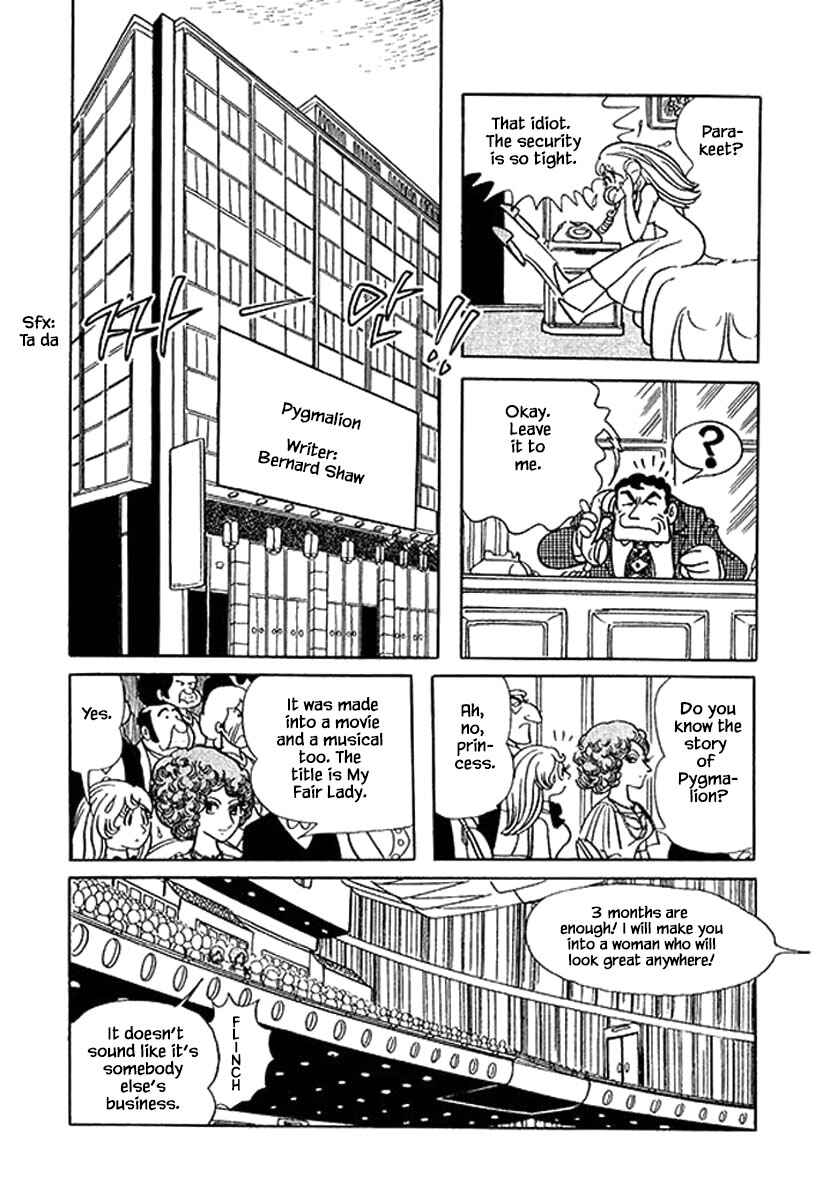 Page 19 Chapter 25 Rainbow Parakeet