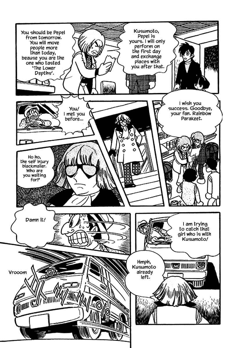 Page 23 Chapter 2 Rainbow Parakeet