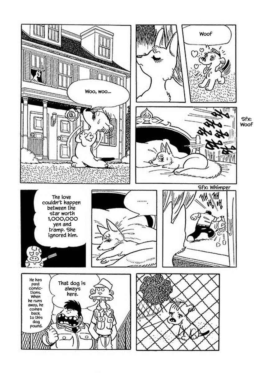 Page 11 Chapter 46 Rainbow Parakeet