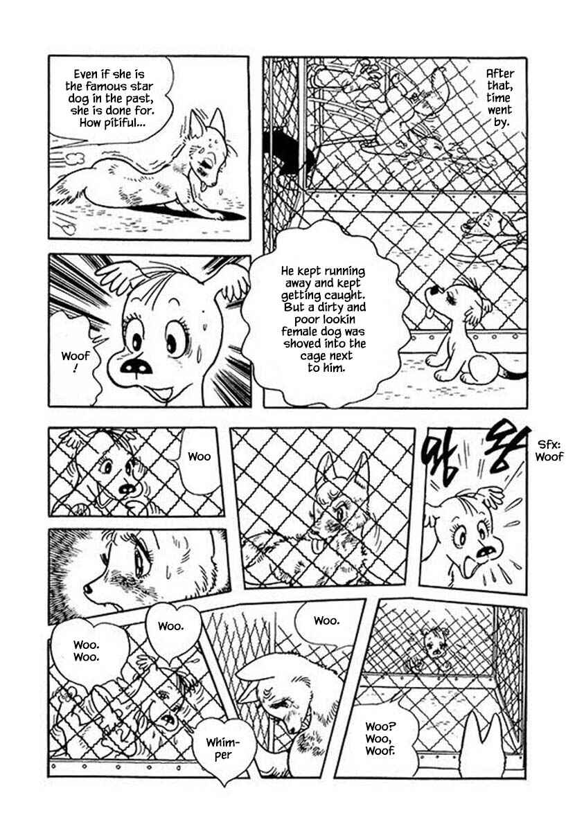 Page 13 Chapter 46 Rainbow Parakeet