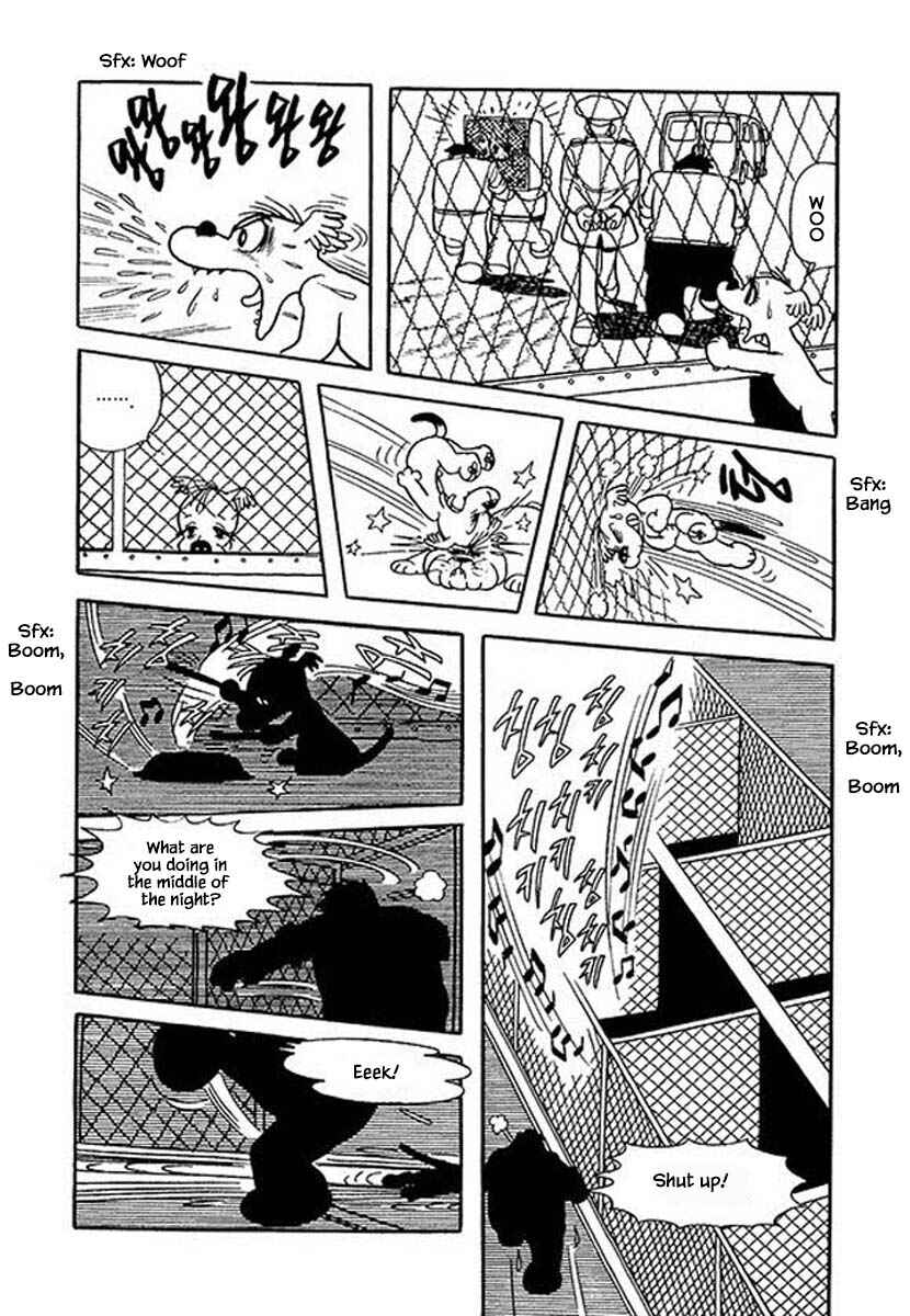 Page 15 Chapter 46 Rainbow Parakeet