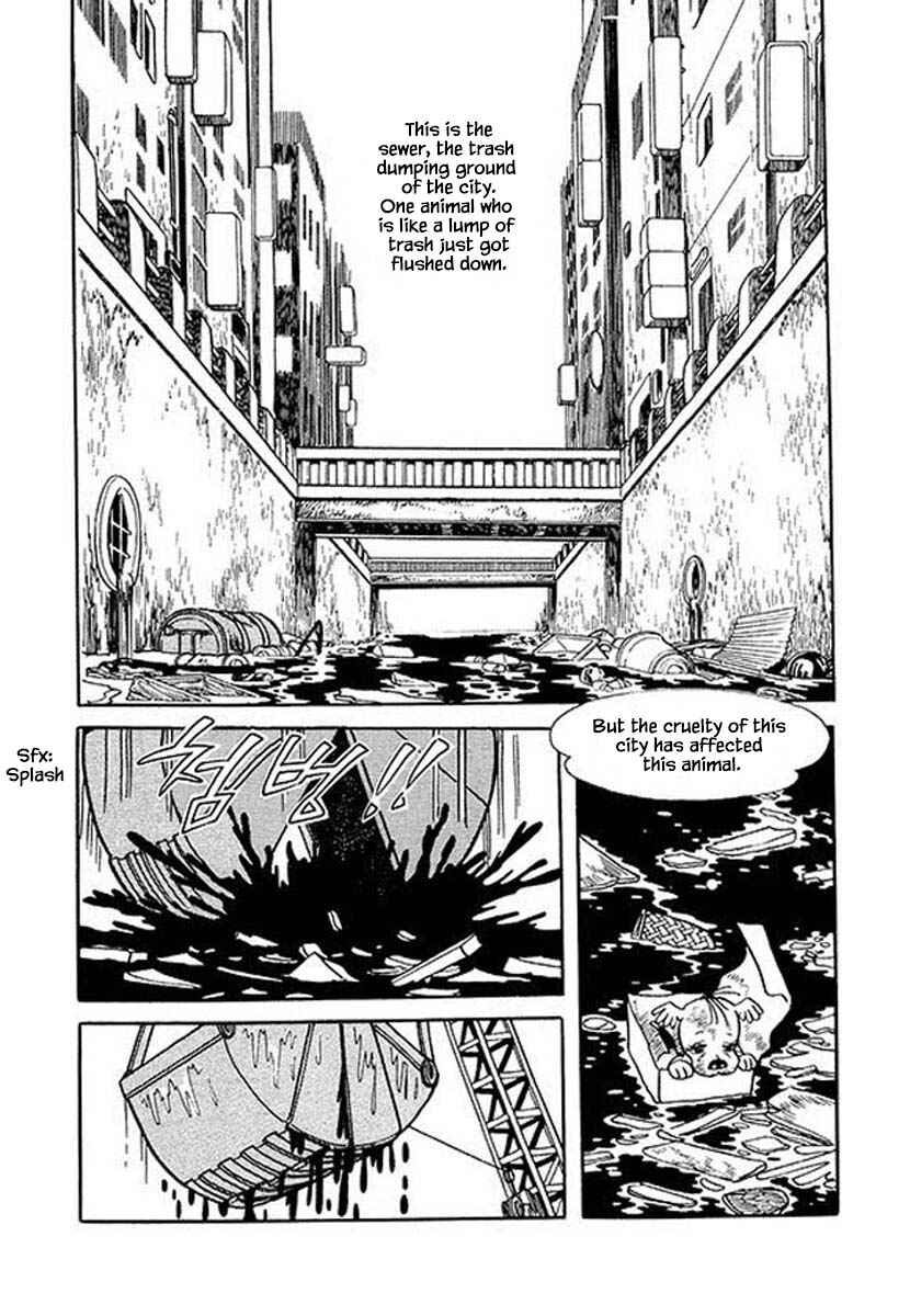 Page 2 Chapter 46 Rainbow Parakeet