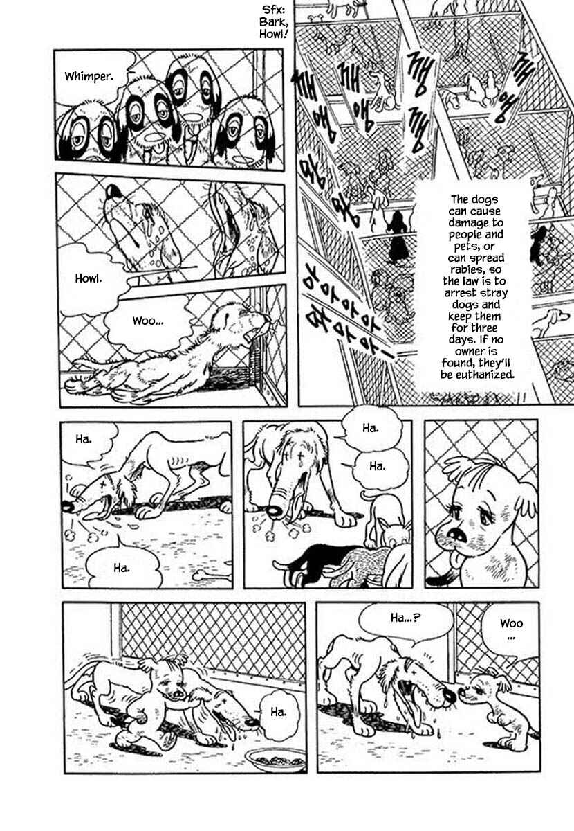 Page 4 Chapter 46 Rainbow Parakeet