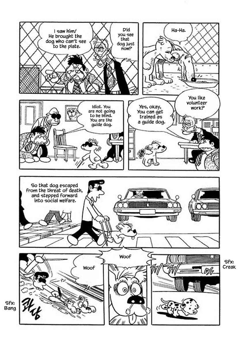 Page 5 Chapter 46 Rainbow Parakeet