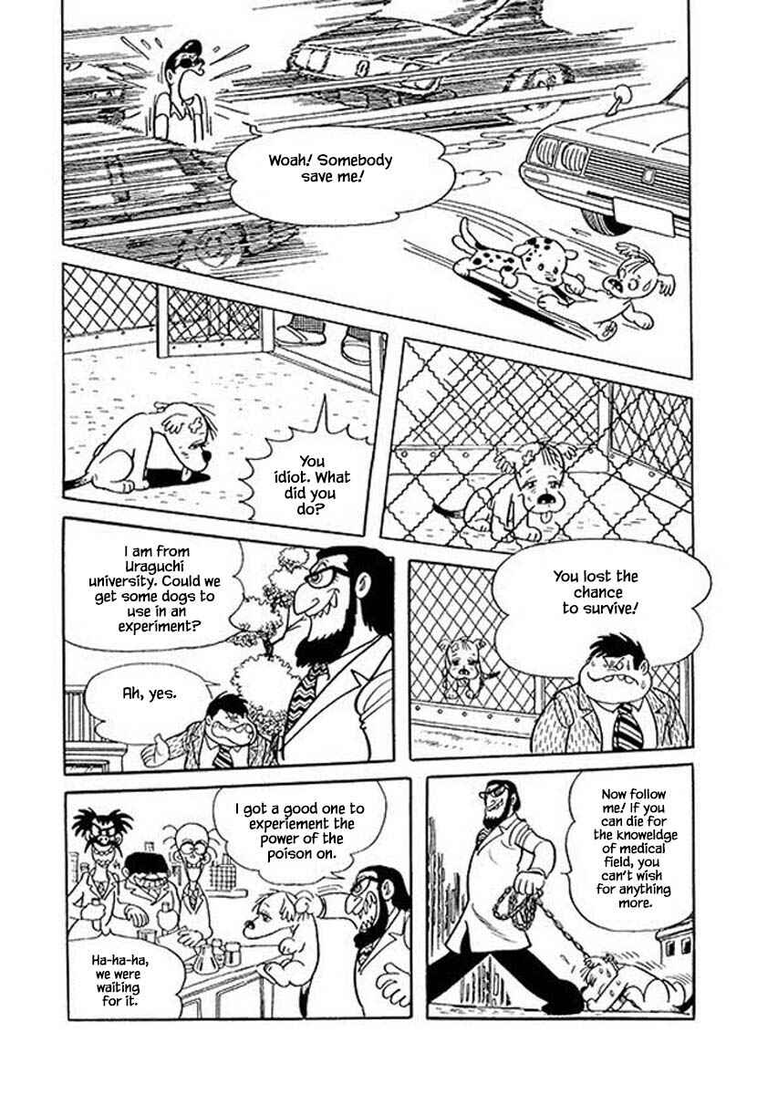 Page 6 Chapter 46 Rainbow Parakeet