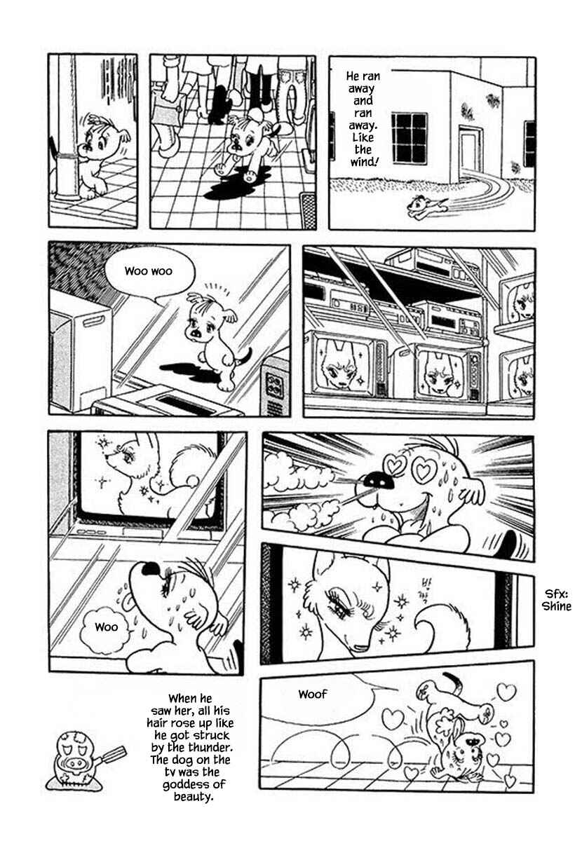 Page 9 Chapter 46 Rainbow Parakeet