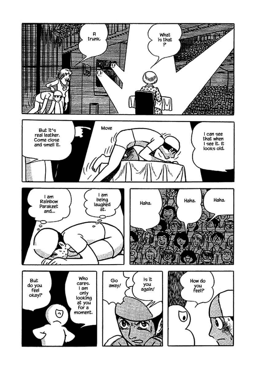 Page 20 Chapter 23 Rainbow Parakeet