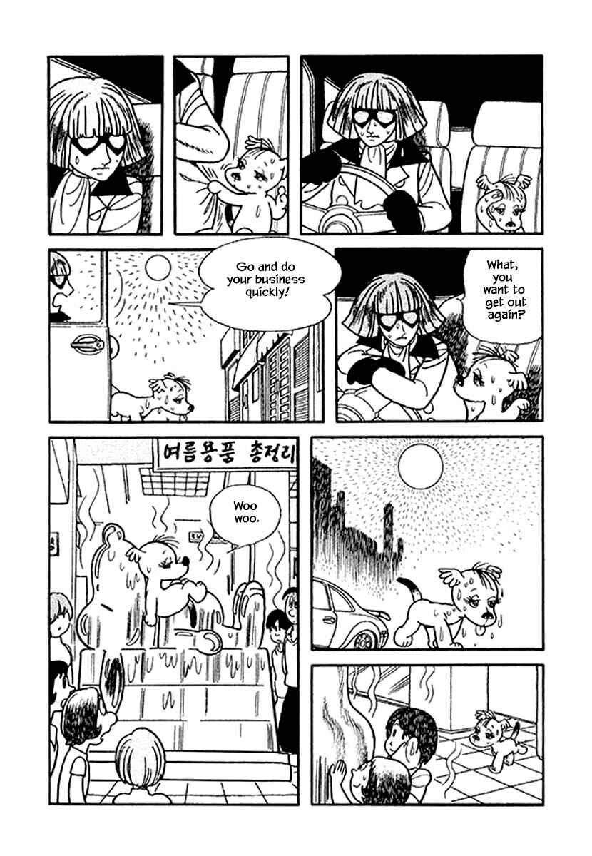 Page 2 Chapter 19 Rainbow Parakeet