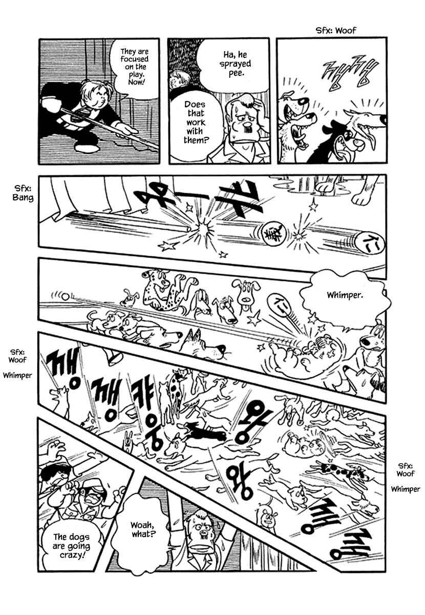 Page 21 Chapter 19 Rainbow Parakeet
