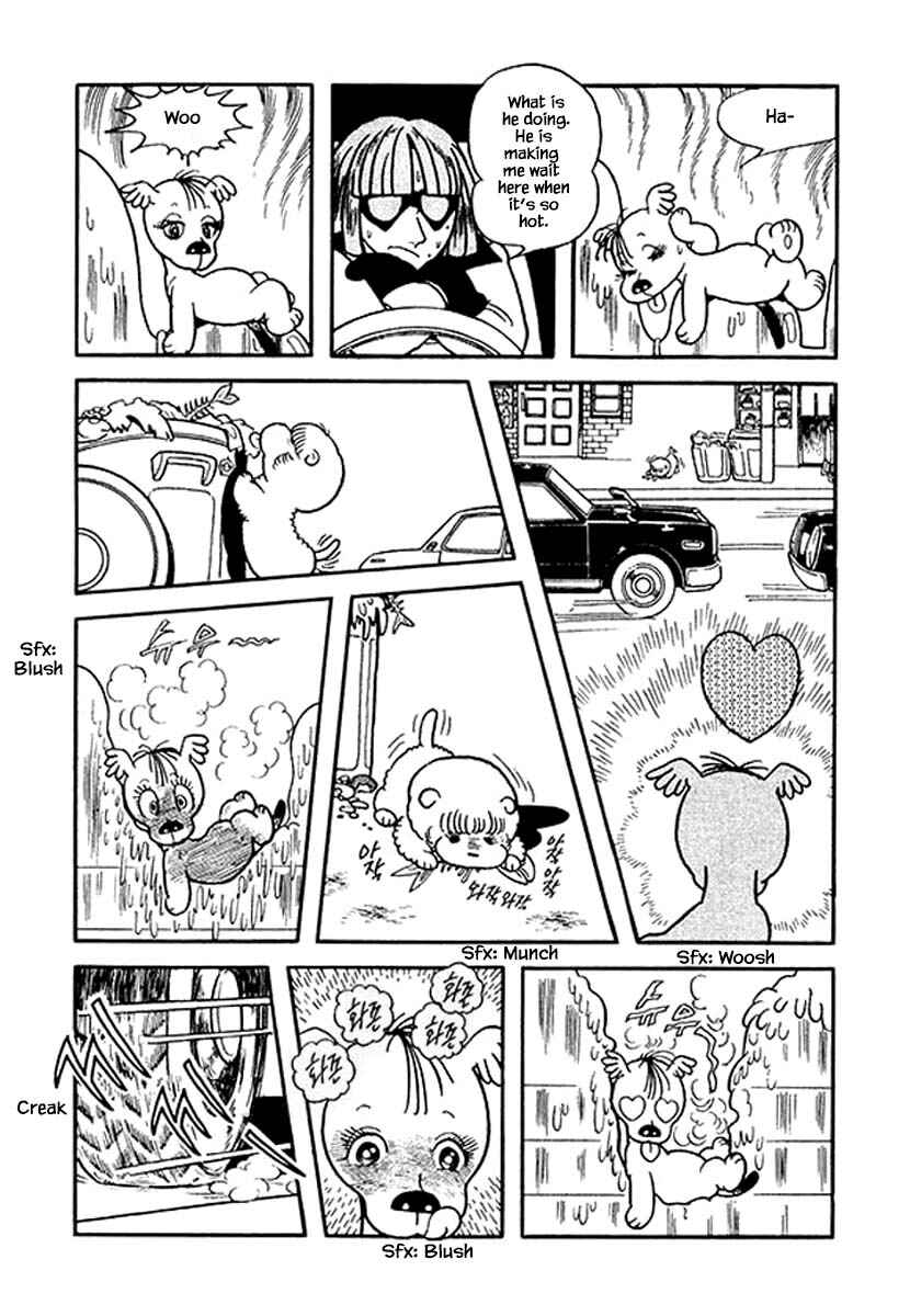 Page 3 Chapter 19 Rainbow Parakeet