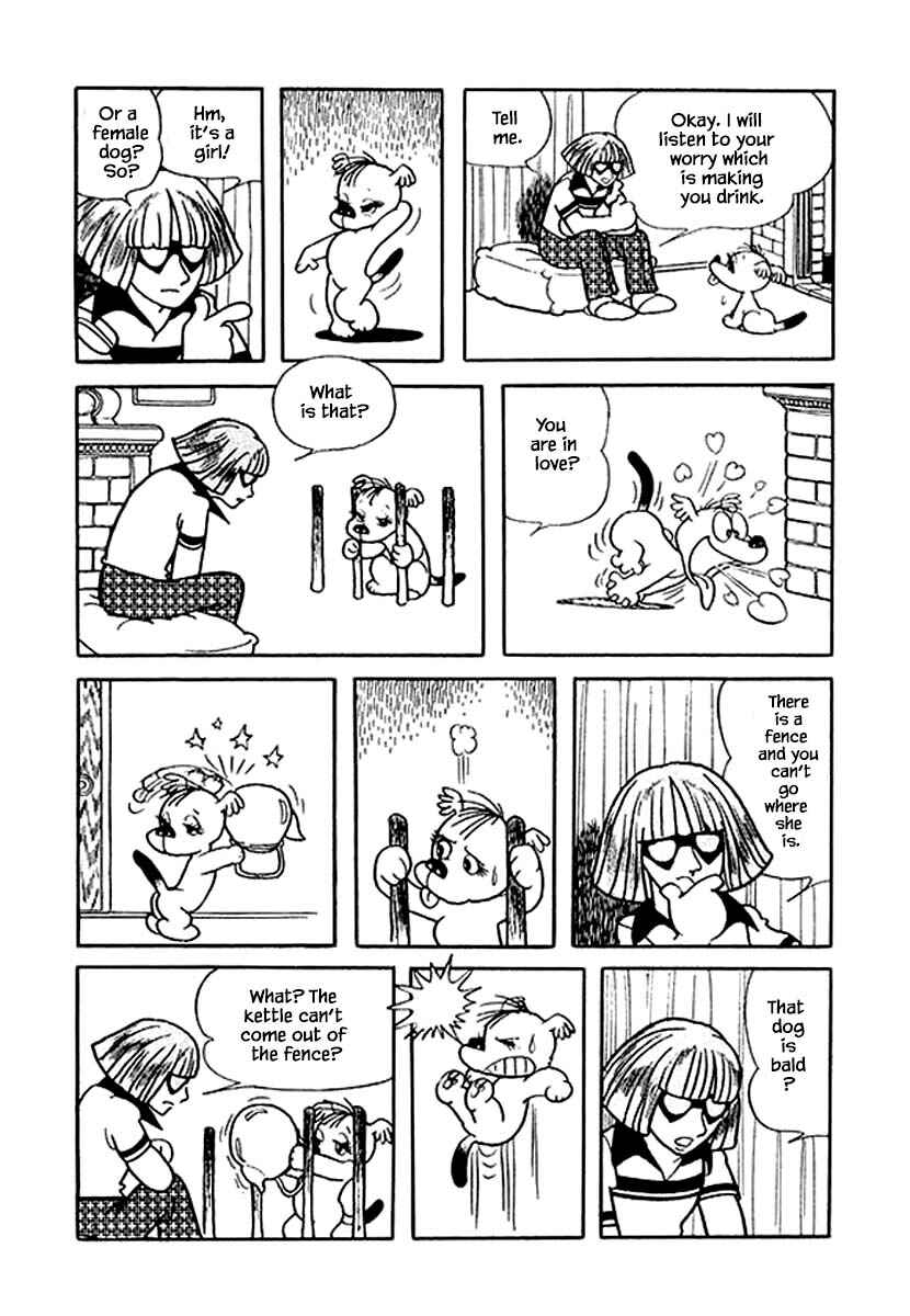Page 7 Chapter 19 Rainbow Parakeet