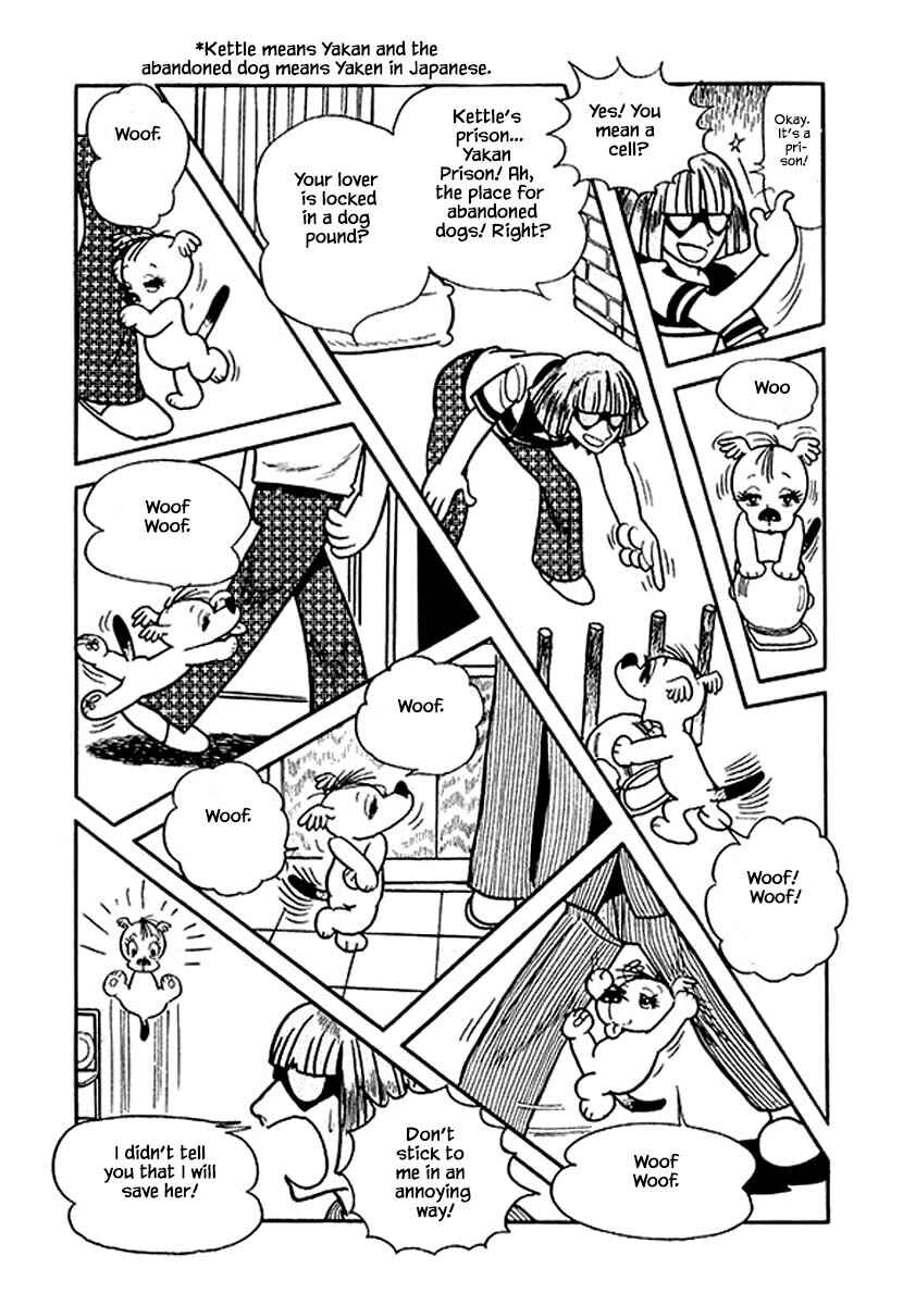 Page 8 Chapter 19 Rainbow Parakeet