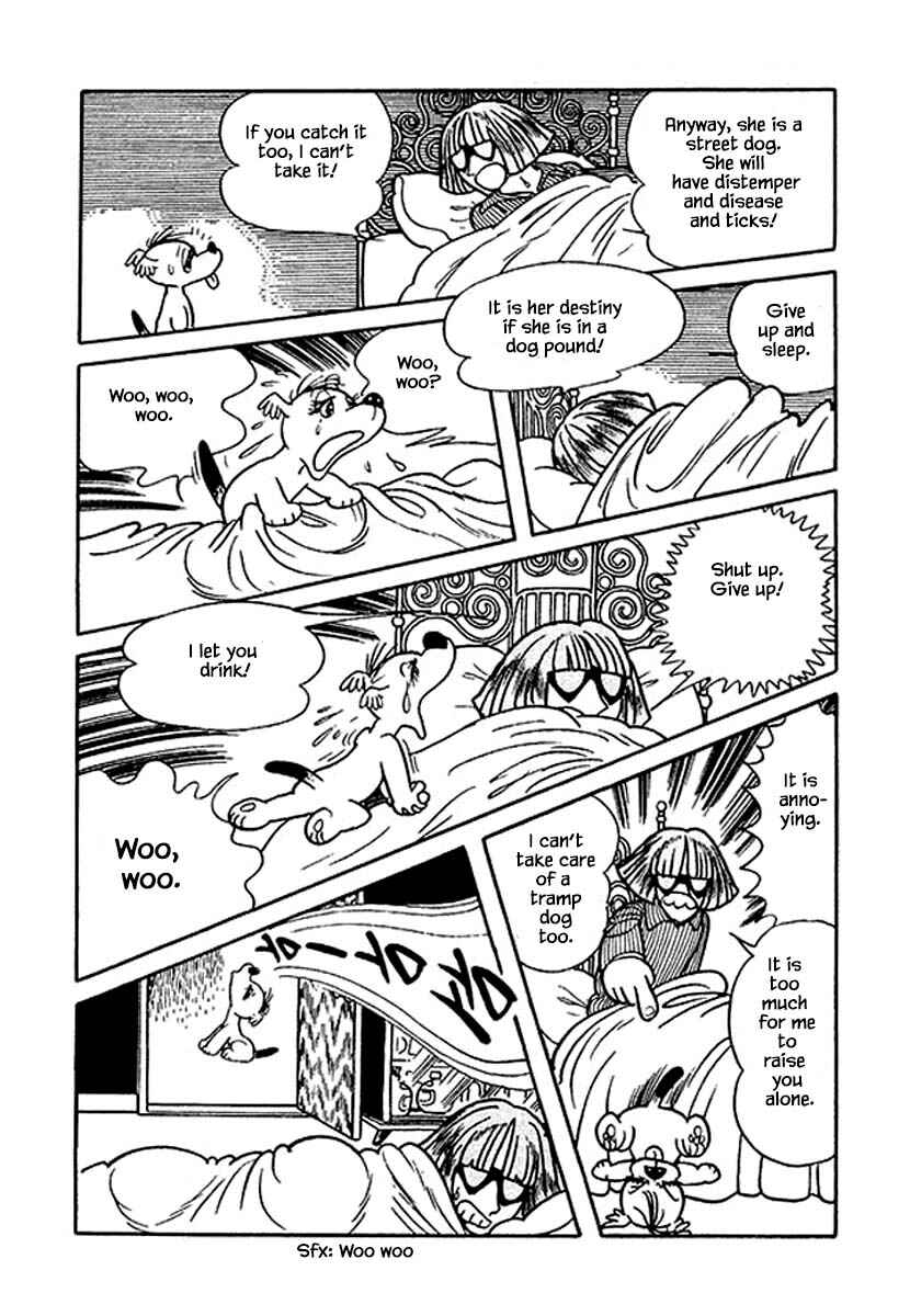 Page 9 Chapter 19 Rainbow Parakeet
