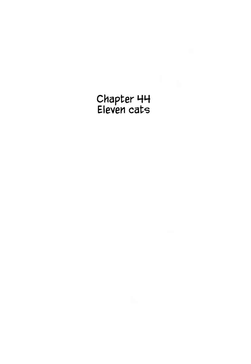 Page 3 Chapter 44.1 Rainbow Parakeet
