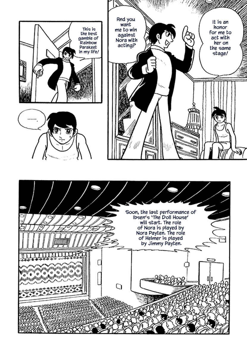Page 14 Chapter 3 Rainbow Parakeet