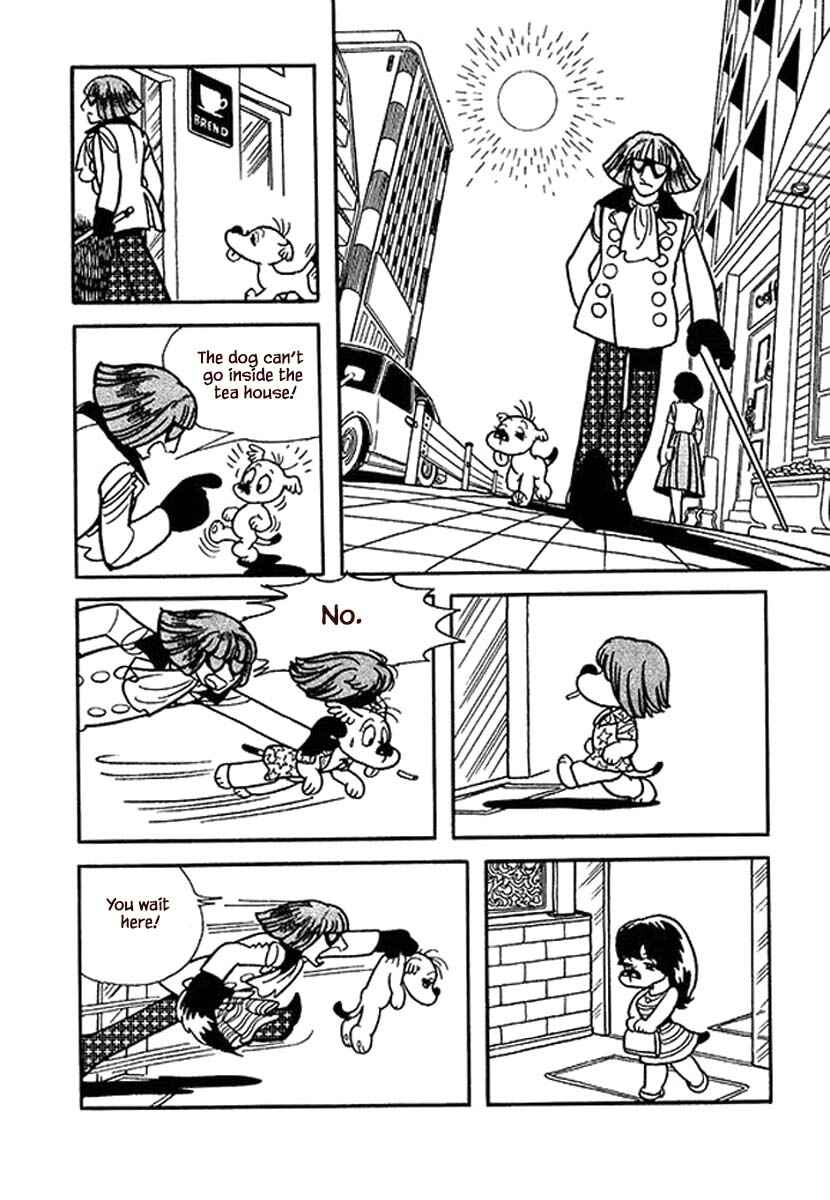 Page 2 Chapter 16 Rainbow Parakeet