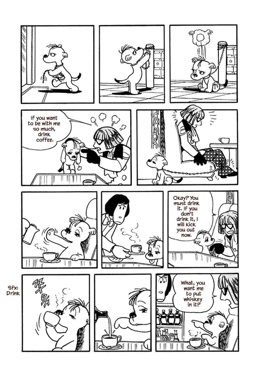 Page 3 Chapter 16 Rainbow Parakeet
