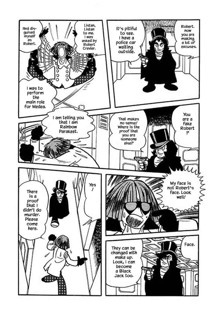 Page 3 Chapter 30.3 Rainbow Parakeet