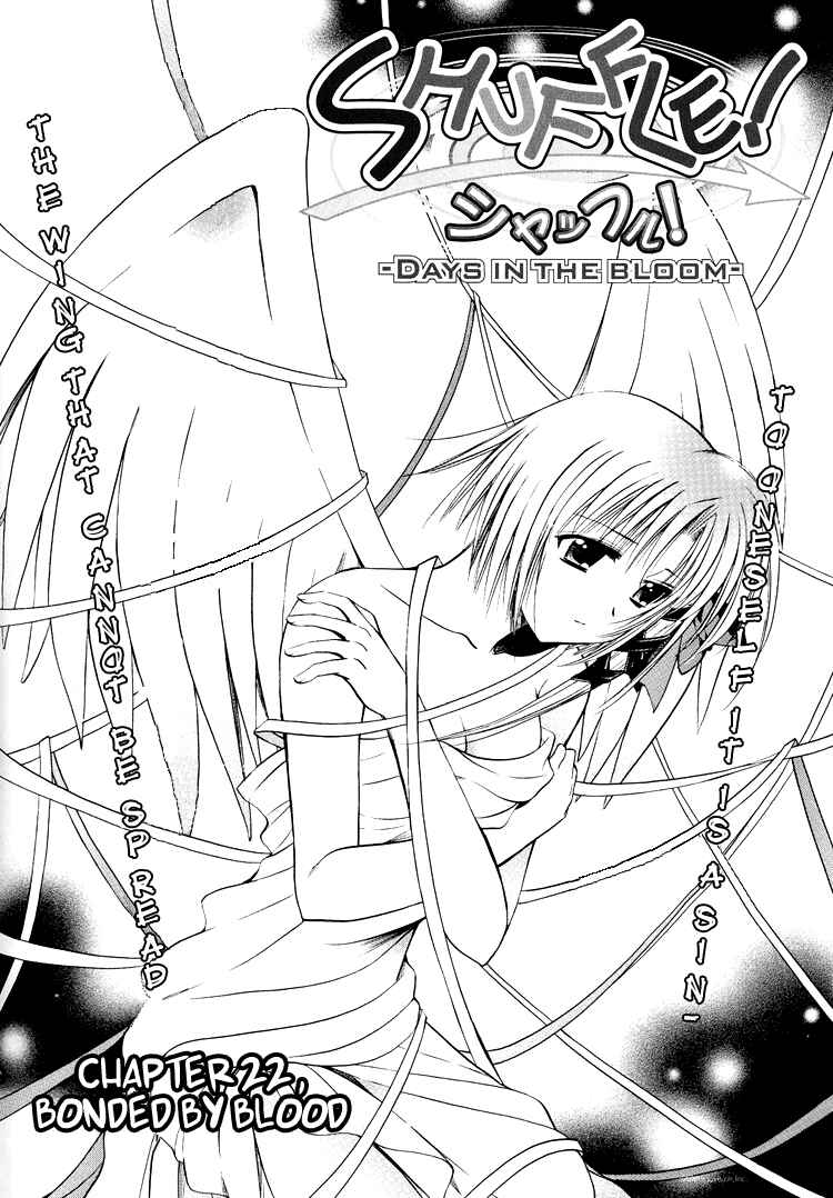 Page 3 Chapter 22 Shuffle! - Days in the Bloom