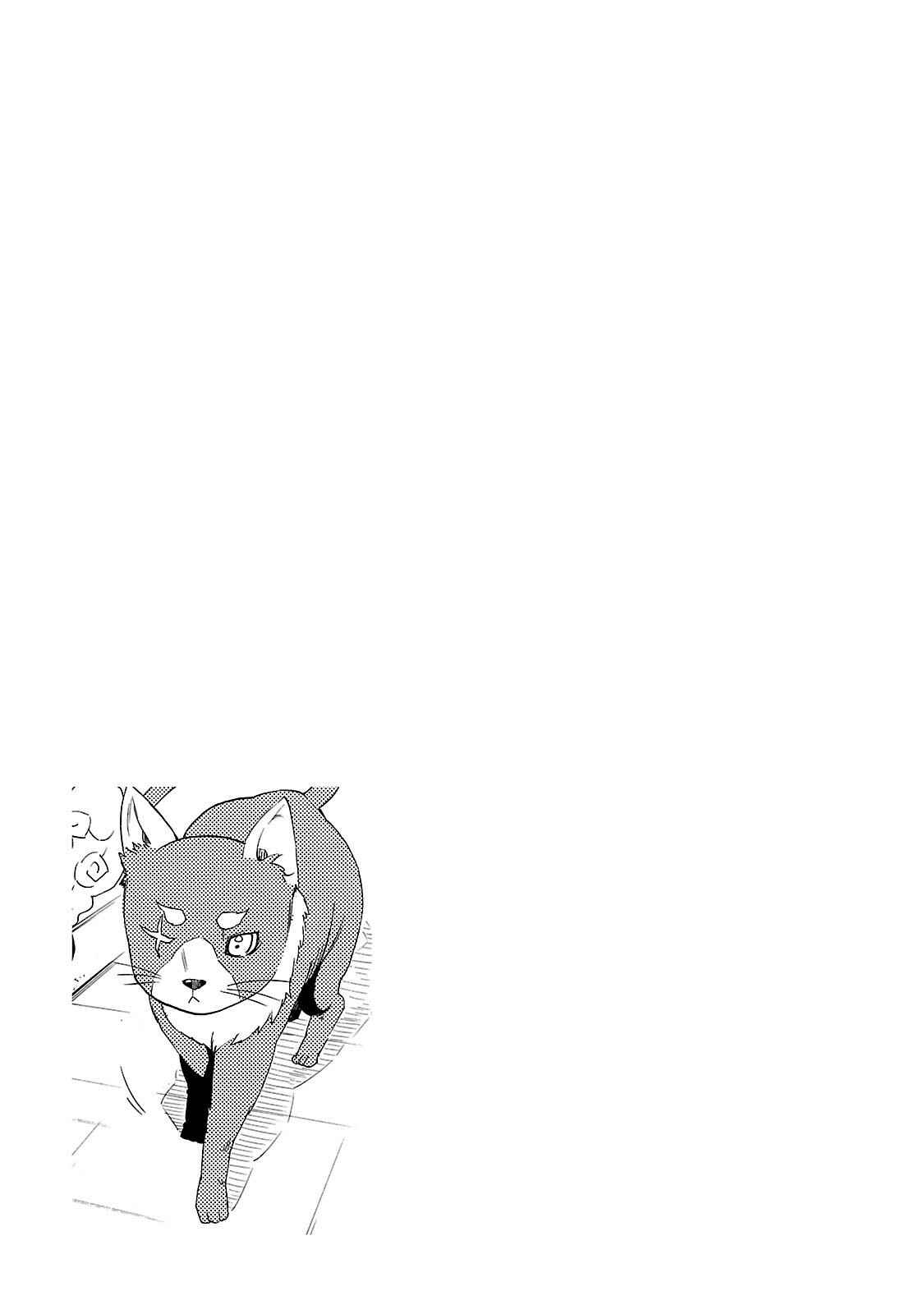 Page 19 Chapter 5 Cross x Regalia