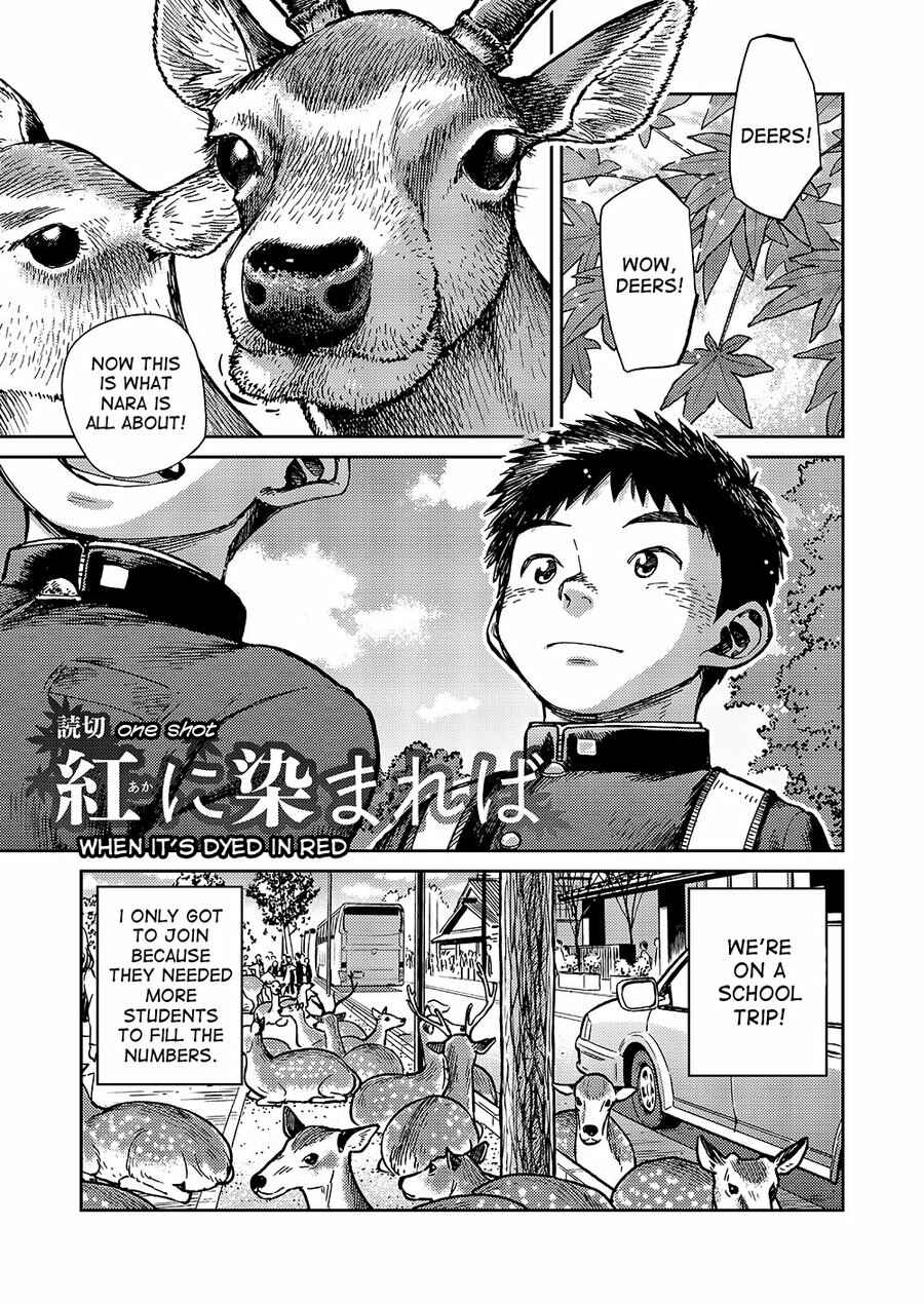 Page 1 Chapter 50 Manga Shounen Zoom