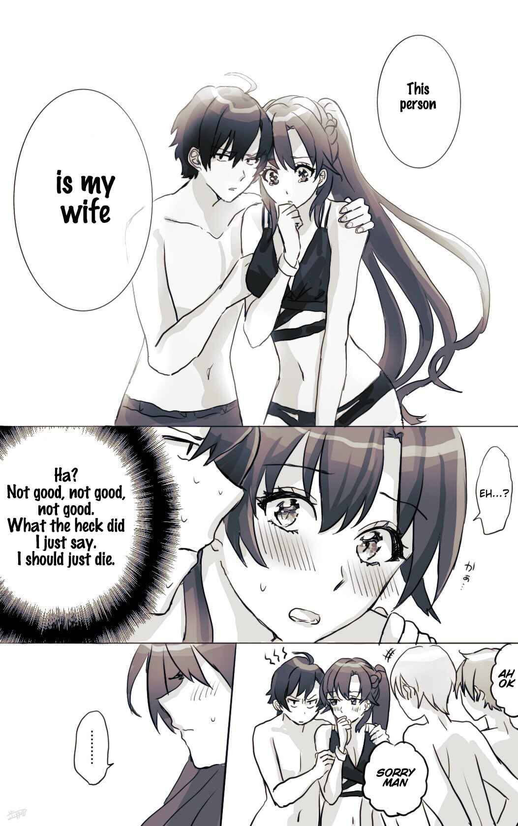Page 3 Chapter 17 Yahari Ore no Seishun Love Come wa Machigatteiru - Hiratsu Kawaii Shizu Kawaii (Doujinshi)