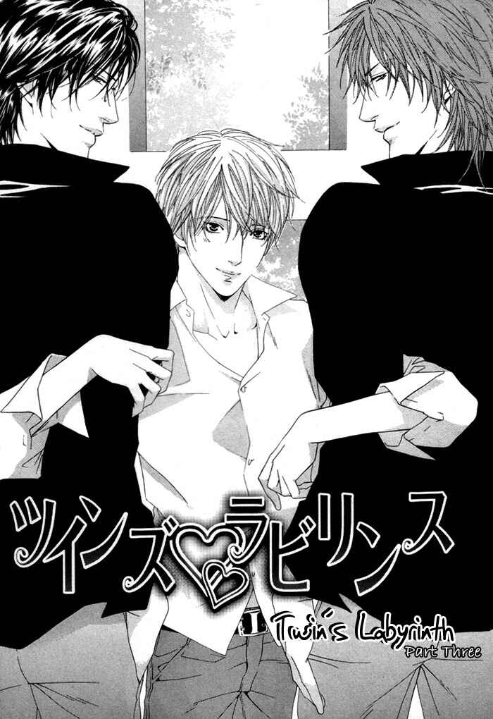 Page 3 Chapter 3 Twins Labyrinth