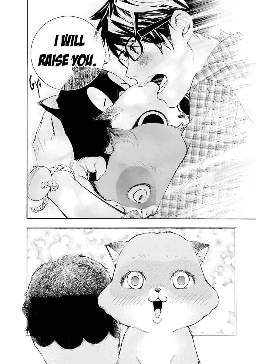 Page 14 Chapter 6 Hime-sama Tanuki no Koizanyou