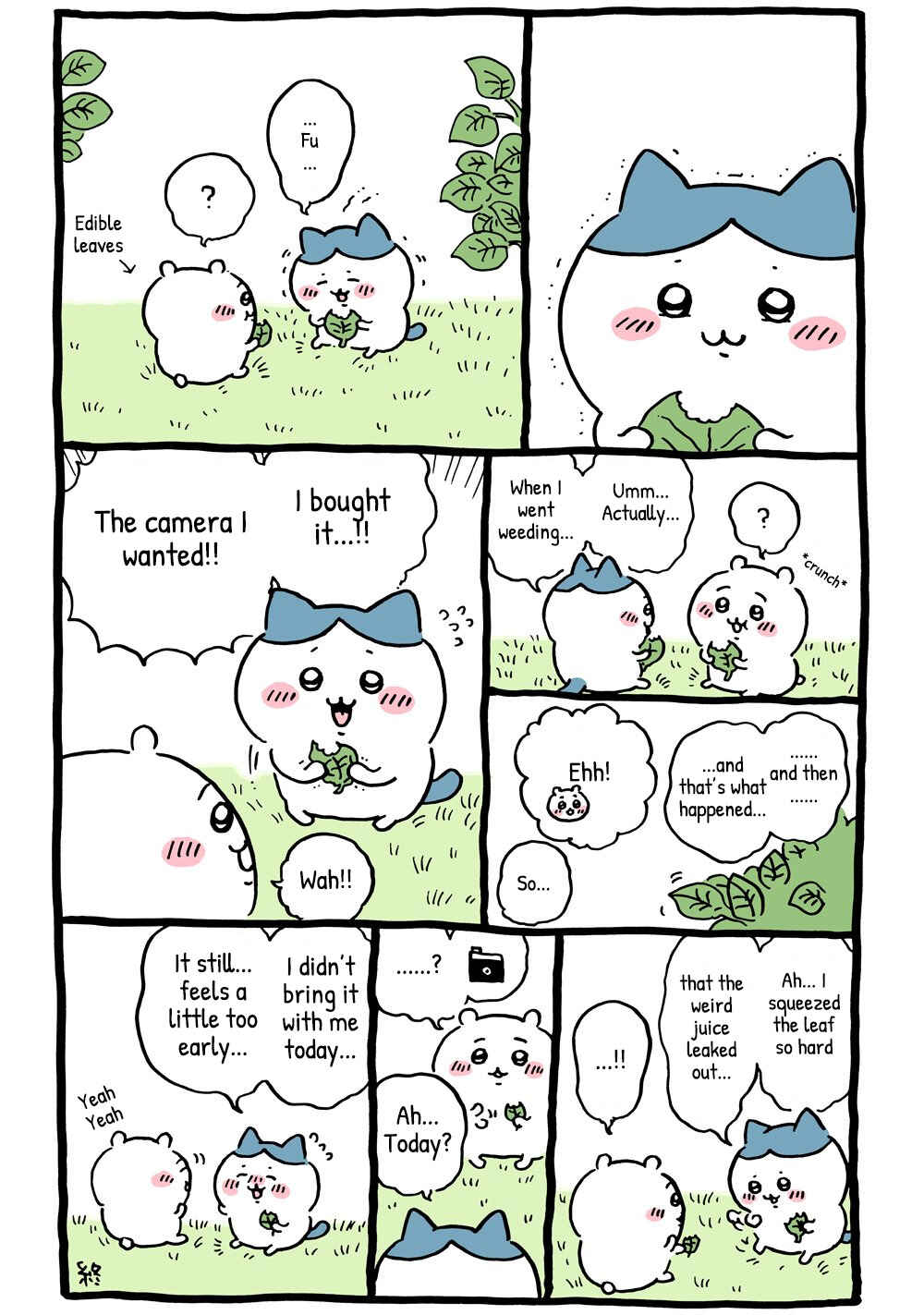 Page 2 Chapter 25 Chiikawa: Nanka Chiisakute Kawaii Yatsu