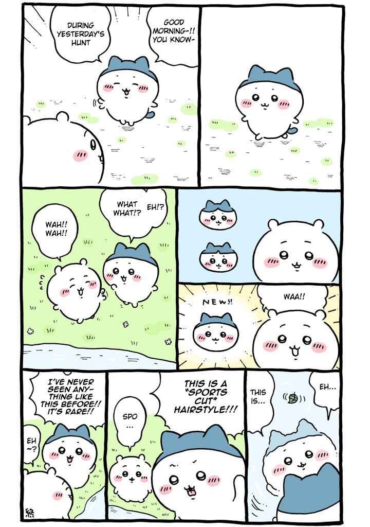 Page 5 Chapter 104 Chiikawa: Nanka Chiisakute Kawaii Yatsu
