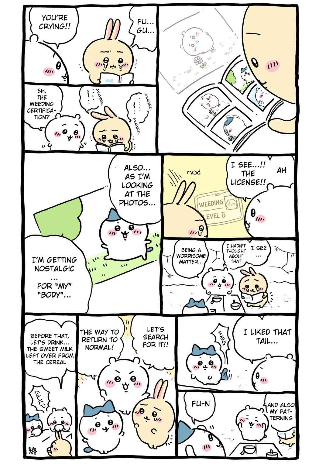Page 12 Chapter 80 Chiikawa: Nanka Chiisakute Kawaii Yatsu