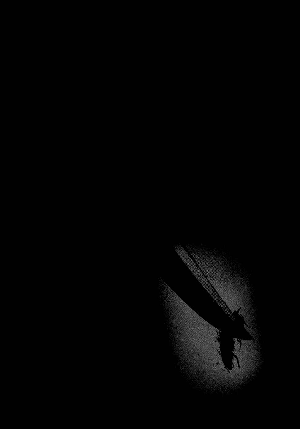 Page 19 Chapter 52 Why The Bell Tolls at Dusk