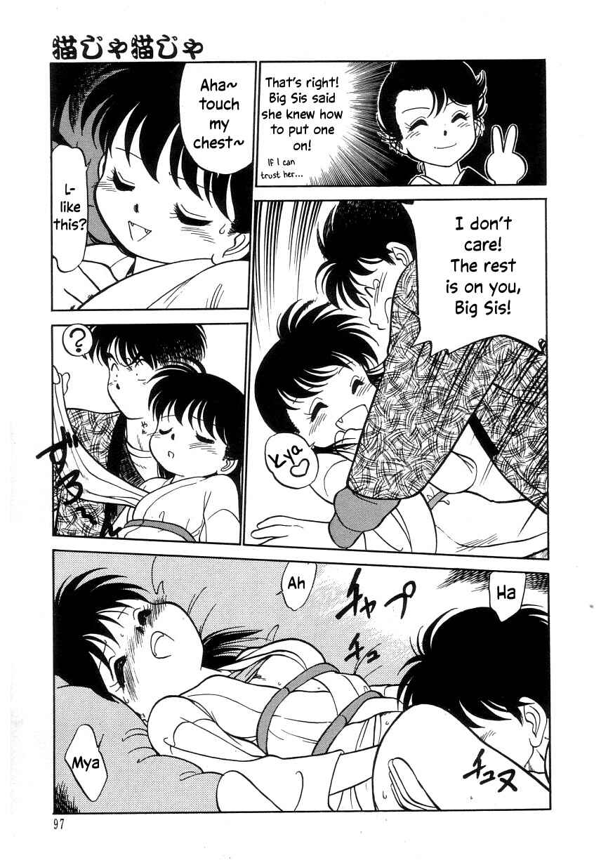 Page 13 Chapter 12 Its a Cat, Its a Cat