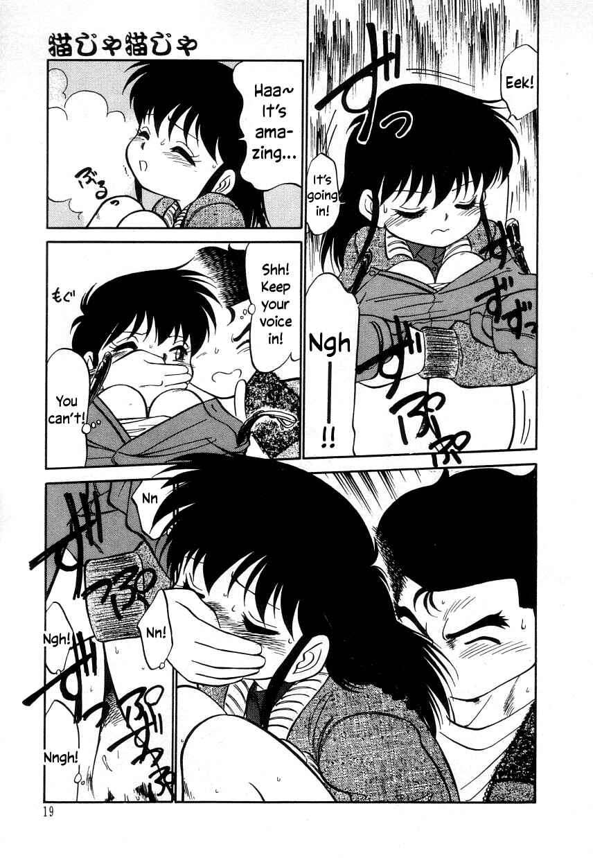 Page 21 Chapter 13 Its a Cat, Its a Cat