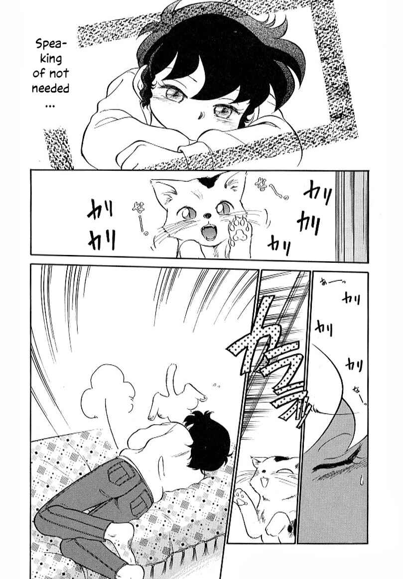 Page 7 Chapter 25 Its a Cat, Its a Cat