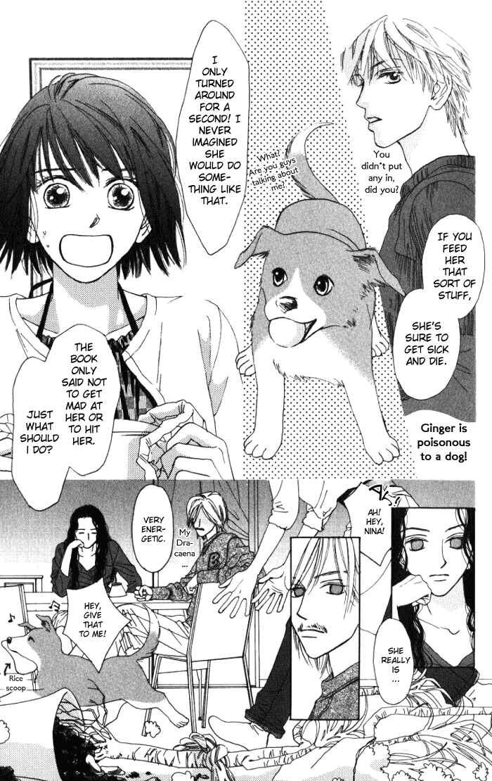 Page 5 Chapter 2 Auto Focus