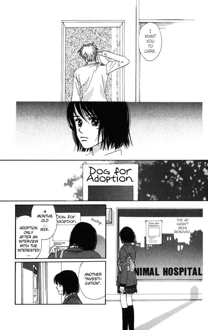 Page 17 Chapter 1.2 Auto Focus