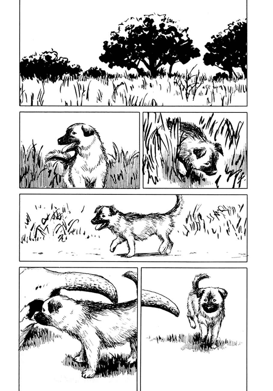 Page 59 Chapter 6 Sound of Bones