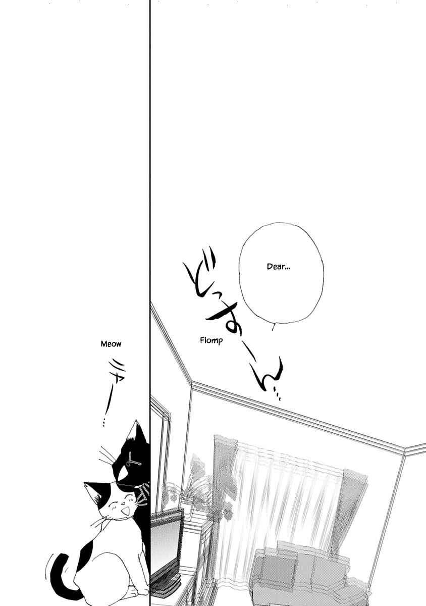 Page 18 Chapter 7.2 Tamako Teishoku - Chuumon no Iranai Omise