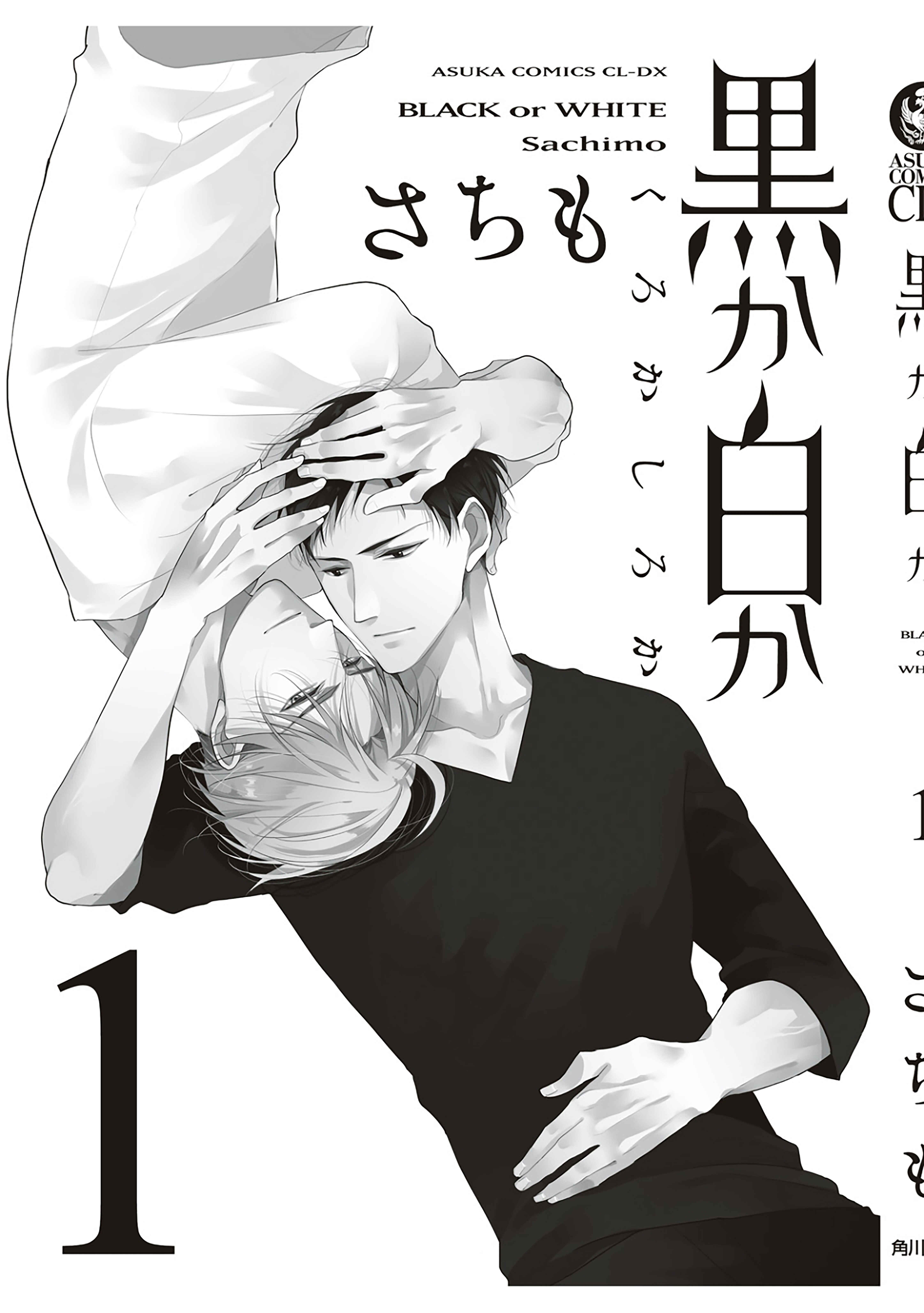 Page 13 Chapter 3.5 Black or White