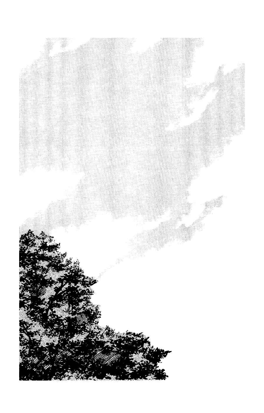 Page 4 Chapter 3 Crows Gaiden