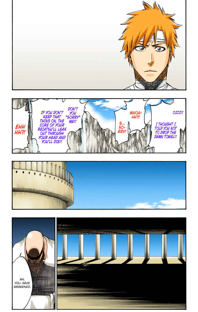 Page 17 Chapter 519 Bleach (Official Colored)