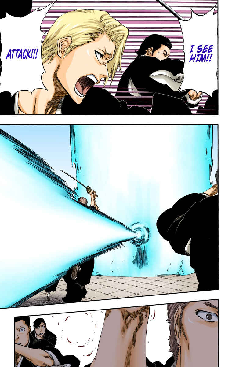 Page 13 Chapter 494 Bleach (Official Colored)