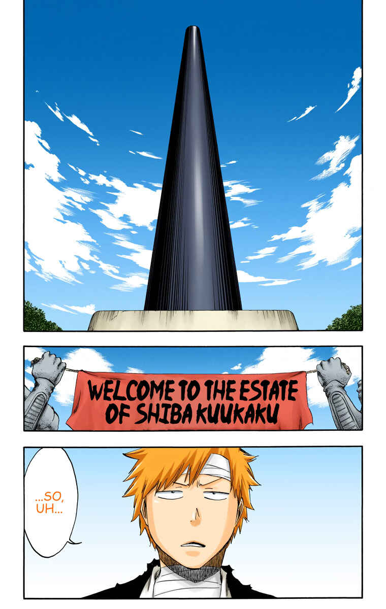 Page 13 Chapter 518 Bleach (Official Colored)