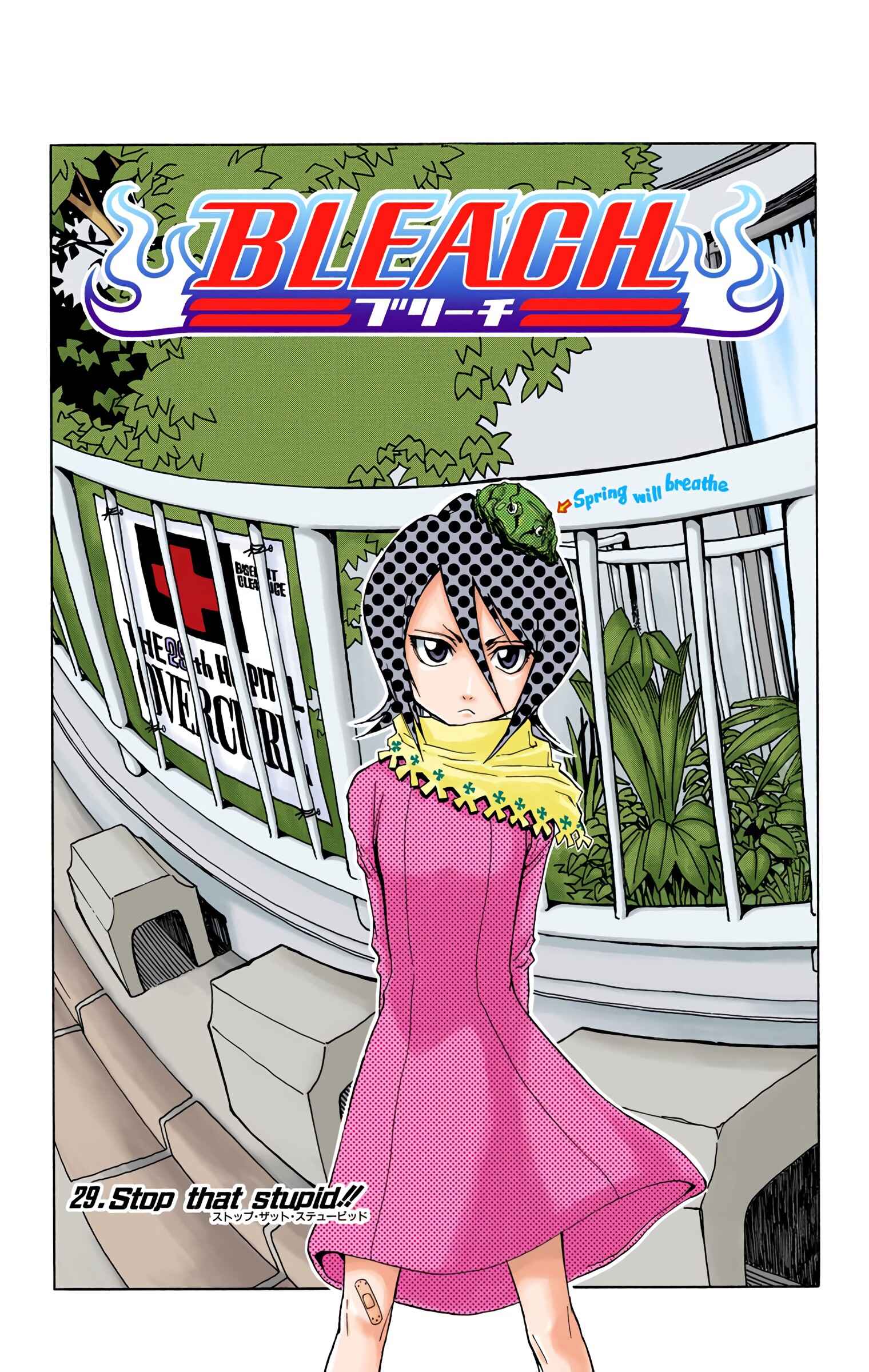 Page 2 Chapter 29 Bleach (Official Colored)